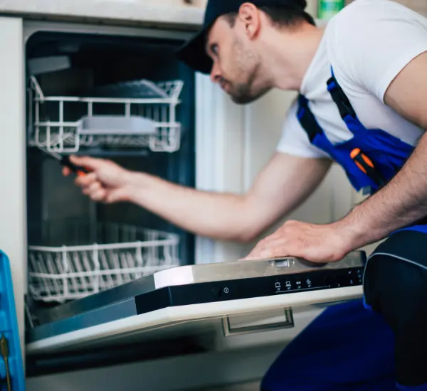 Fix To UAE Expert Repair